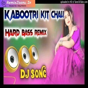 Kabootri Anjali Raghav Ultra Bass Remix Dinesh Loharu 2025