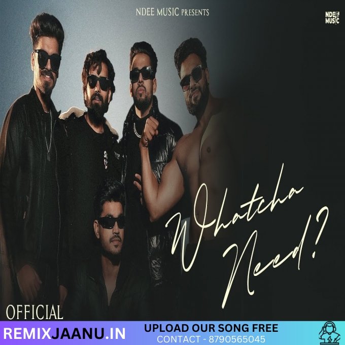 Whatcha Need Ndee Kundu feat. Haryanvi Hunters Official Music