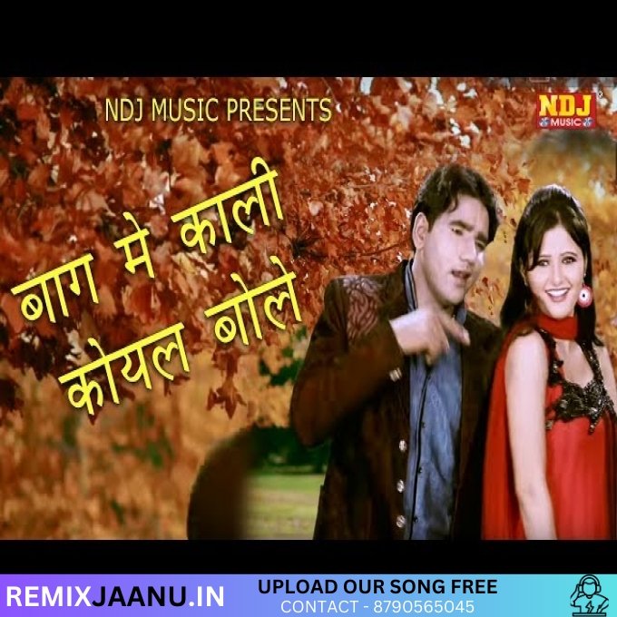 Baag Me Bole Koyal Kaali Remix Dj Ajay Saini Mahendergarh 2025