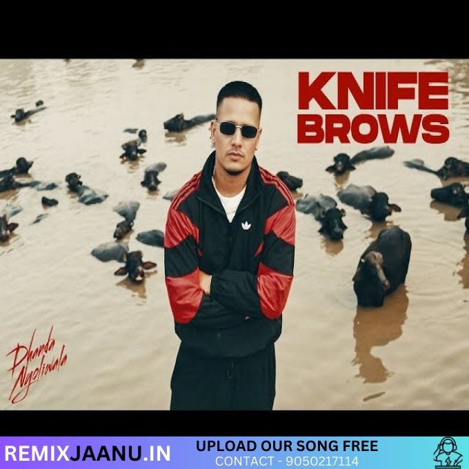 Knif Brows Dhanda Haryanvi Remix Dj Sanjay Production
