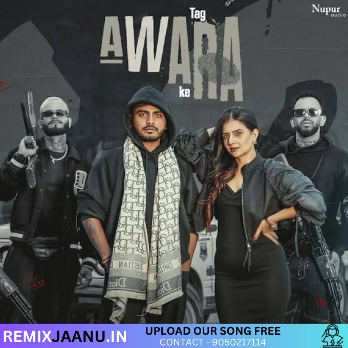 Tag Avaara Amanraj Gill Remix Dj Monu Yadav