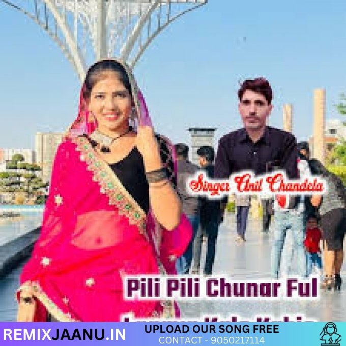 Pili Pili Chunar Ful Lagaya Kalo Kabjo Anil Chandela Vibration ReMix Dj Sachin Patusari